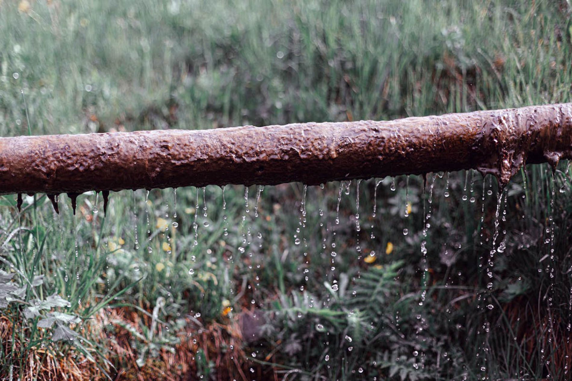 Rusted sewer pipe
